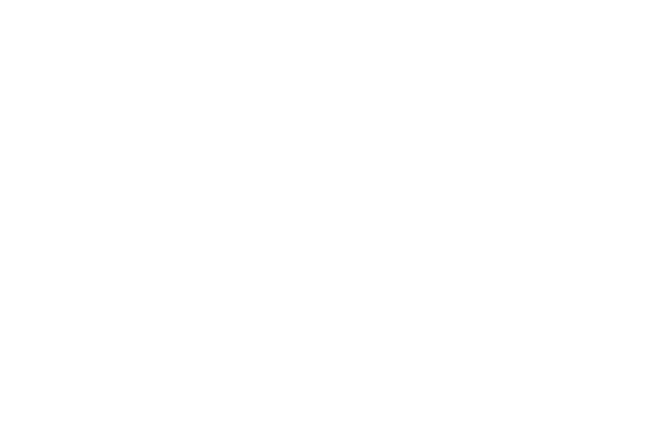 L&H Industrial