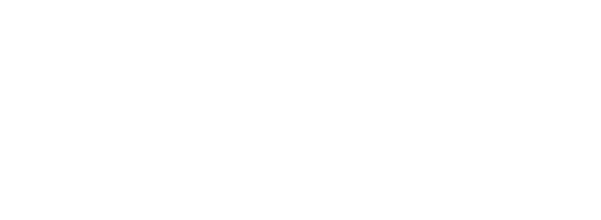 Silver Standard